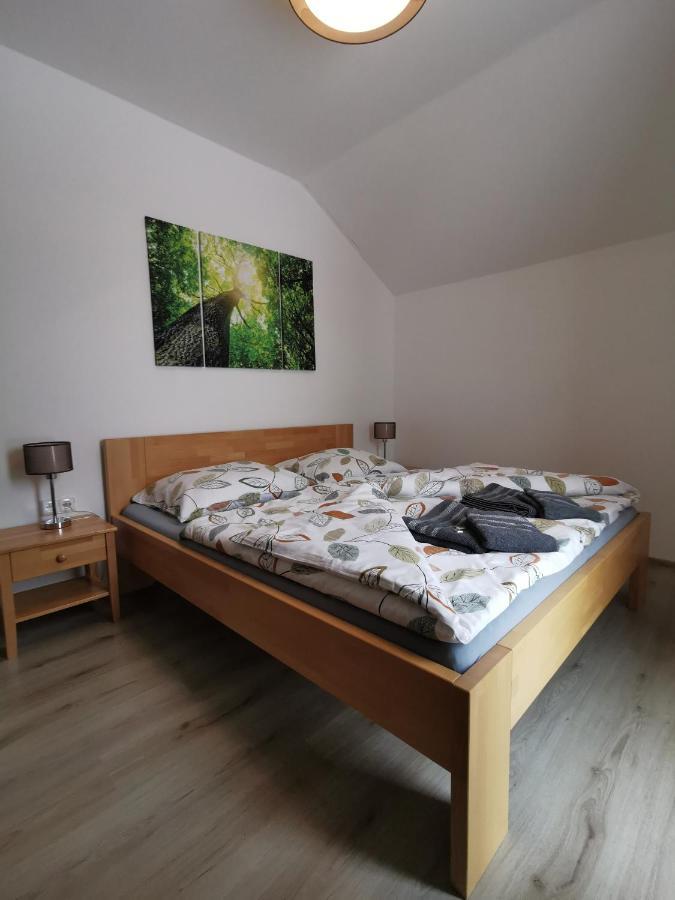 Апартаменты Apartman 5 Klinovec Лоучна-под-Клиновцем Экстерьер фото